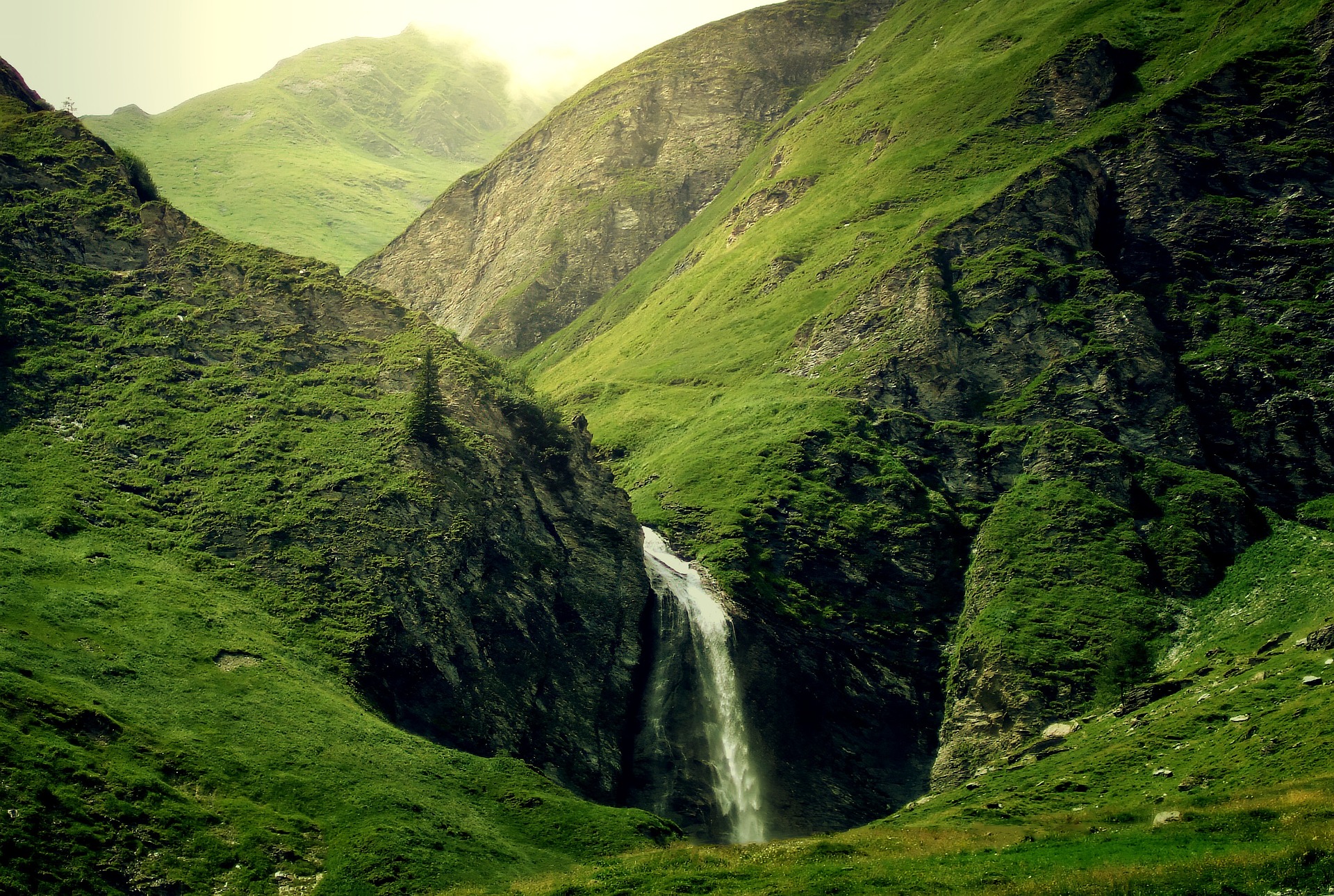 aaa