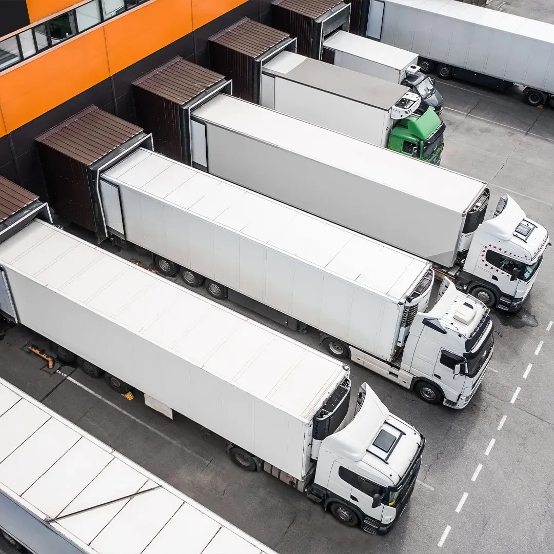 27.02.2025-bank-lviv-stav-partnerom-osvitnoi-programy