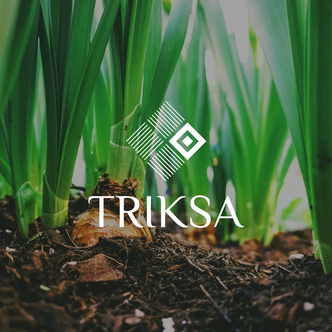triksa