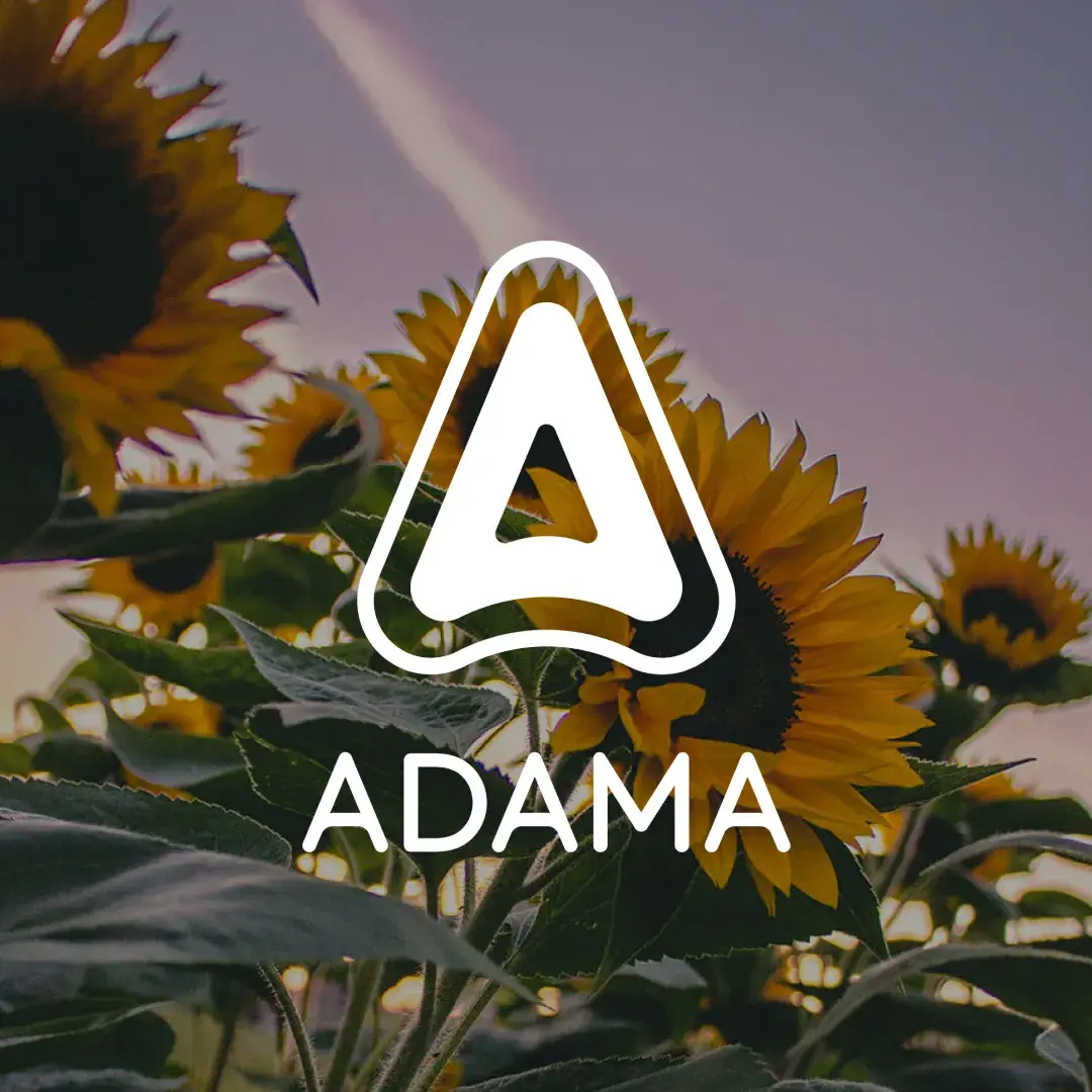 Adama-3